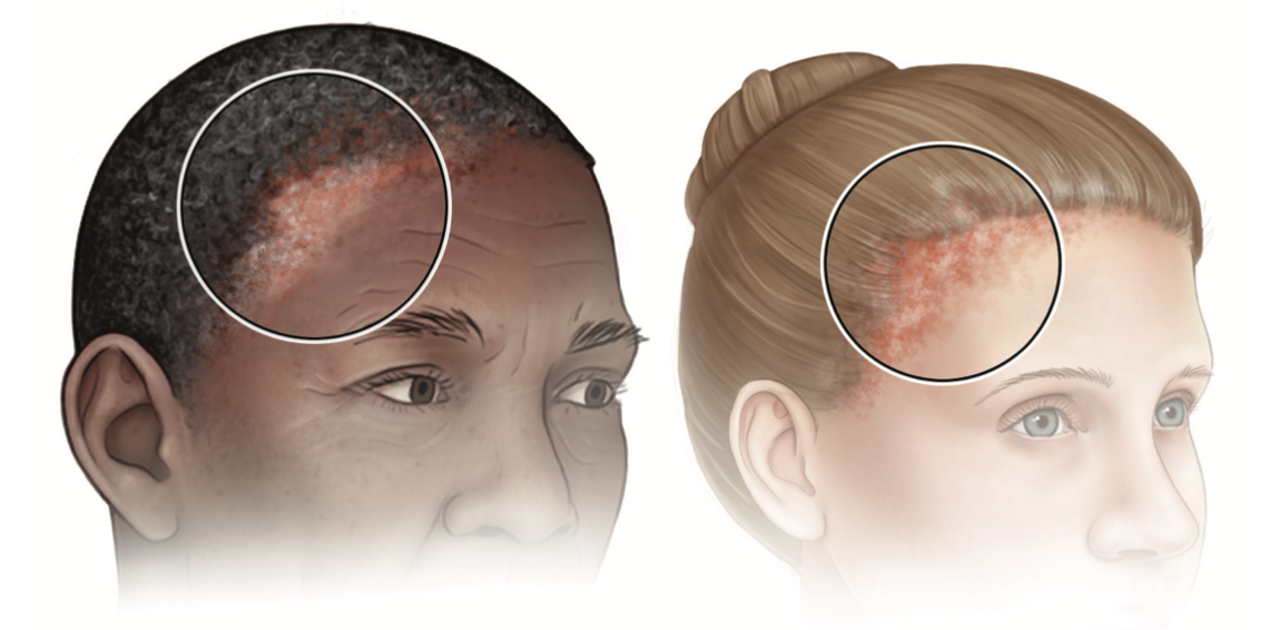 스크린샷 2024-12-17 오전 11.38.19.png