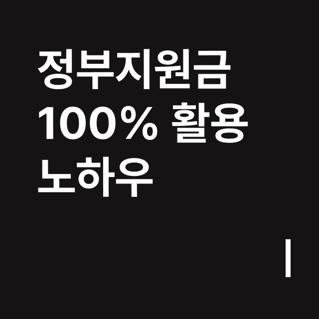 정부지원금 100%활용 노하우.png