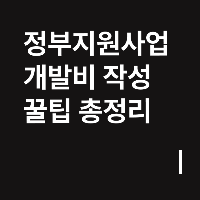 정부지원사업 개발비 작성 꿀팁 총정리.png