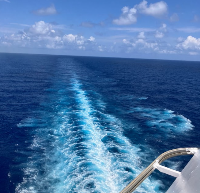 화면 캡처 2023-08-07 181641.png