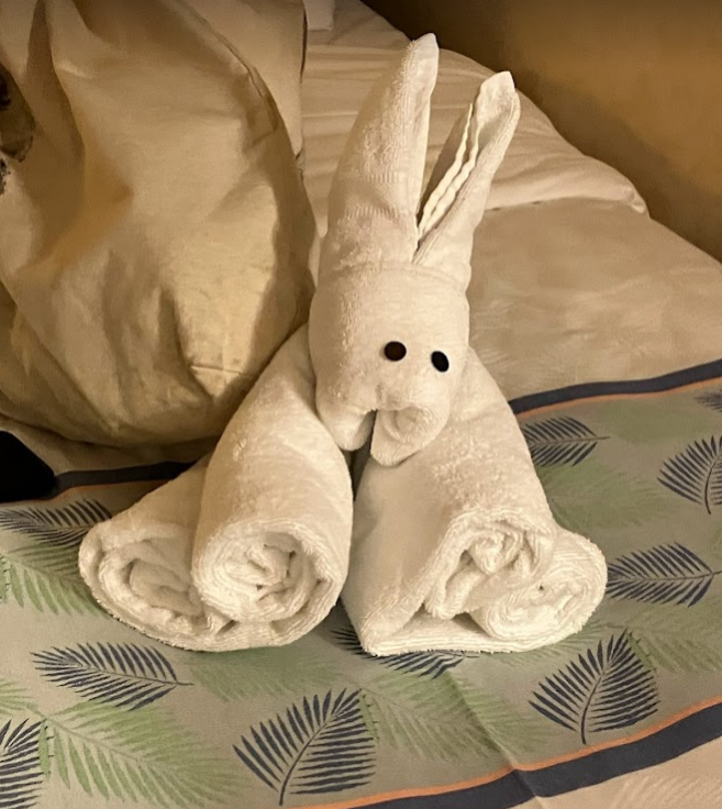 화면 캡처 2023-08-07 181244.png