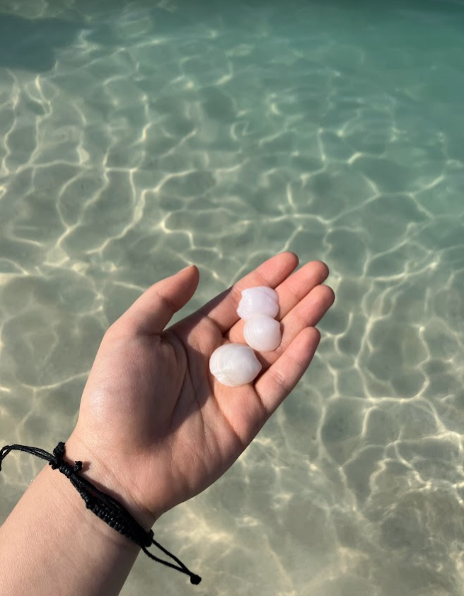 화면 캡처 2023-08-07 181329.png