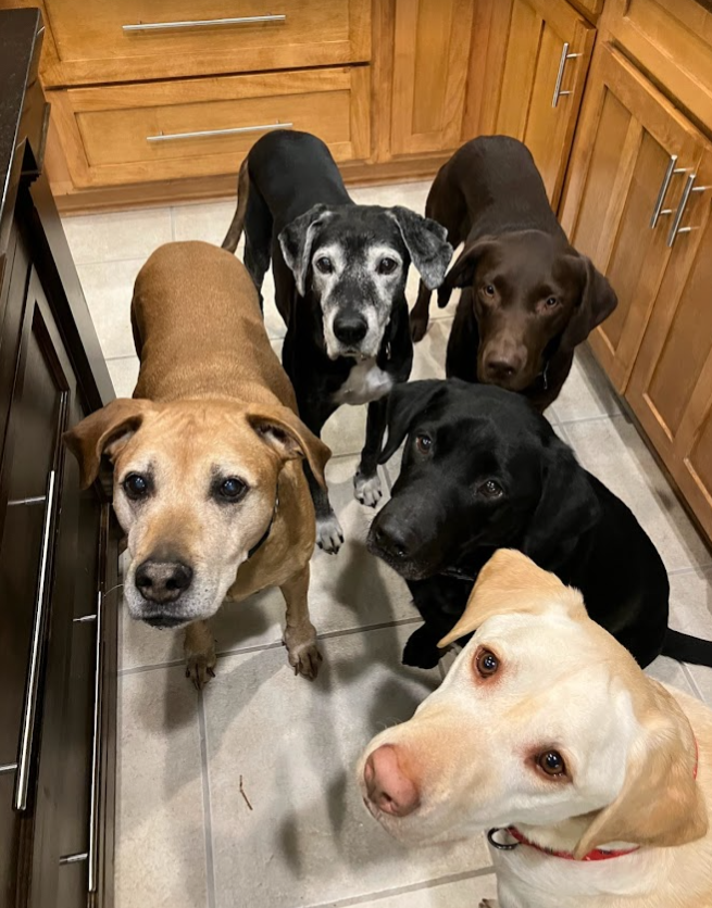 화면 캡처 2023-08-08 093216.png