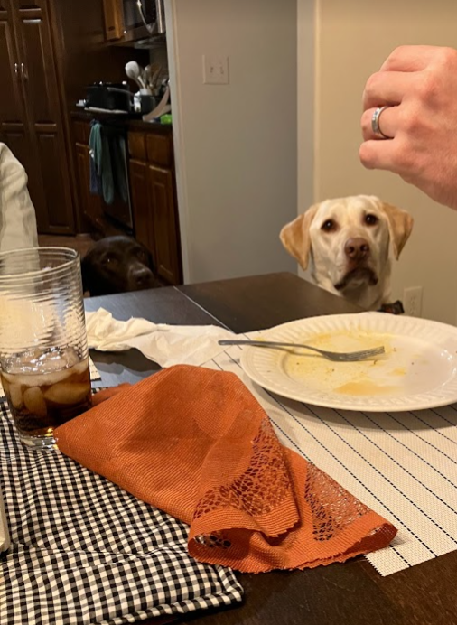 화면 캡처 2023-08-08 093602.png