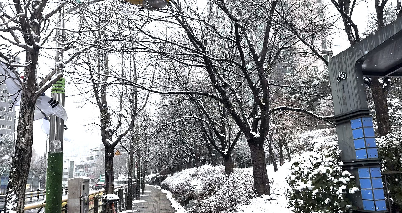 스크린샷 2025-03-04 오후 2.13.21.png