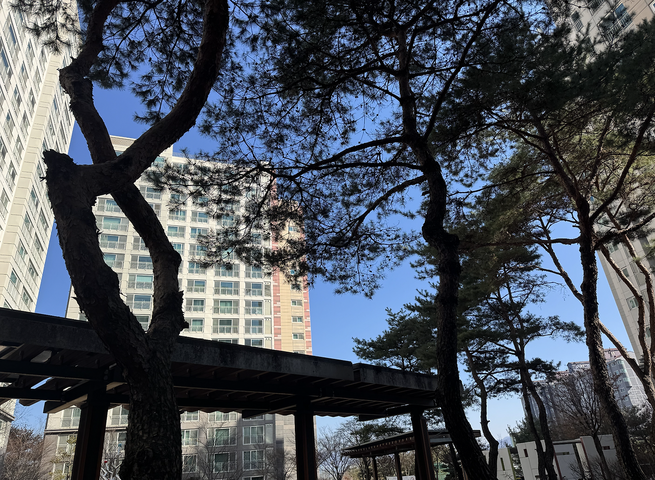 스크린샷 2025-02-28 오후 3.38.03.png