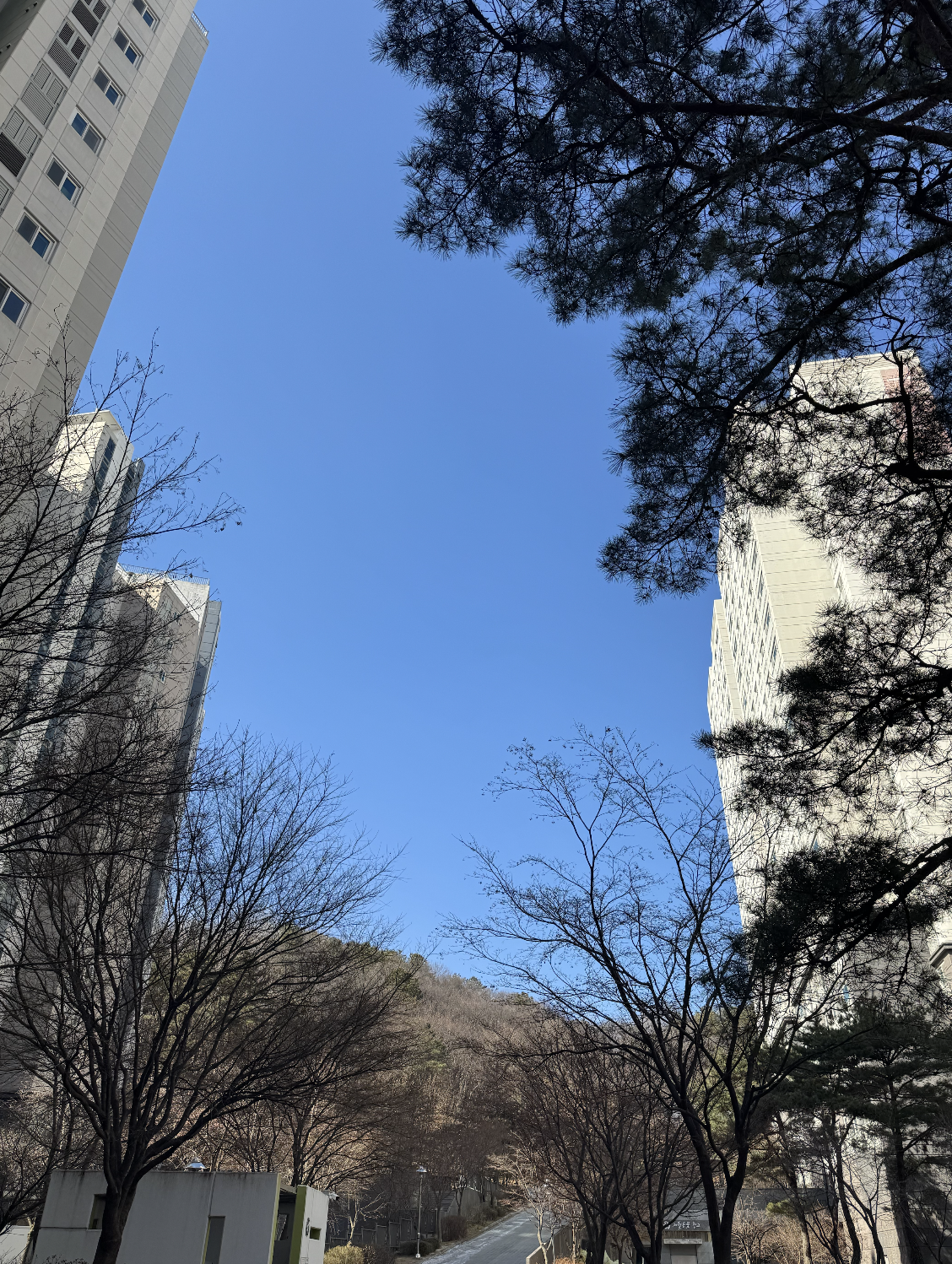 스크린샷 2025-02-28 오후 3.38.51.png