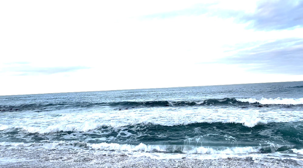 스크린샷 2024-11-01 오후 3.28.37.png