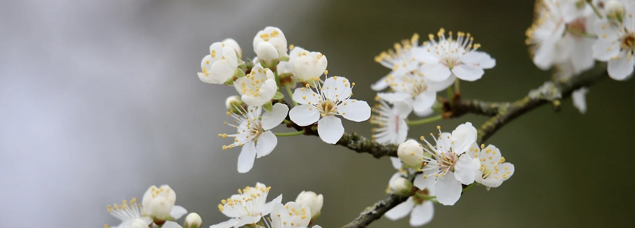 스크린샷 2024-04-07 오전 11.53.26.png