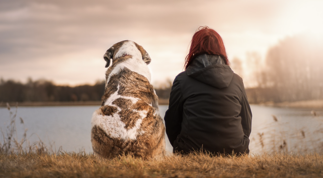 스크린샷 2024-05-05 오후 12.06.52.png