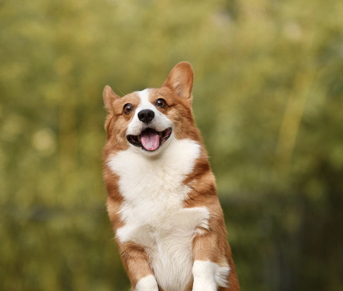 스크린샷 2023-12-04 오후 9.25.23.png