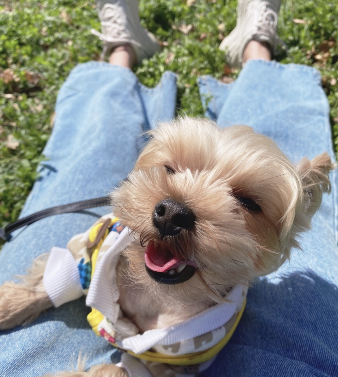 스크린샷 2025-09-06 오전 11.54.59.png