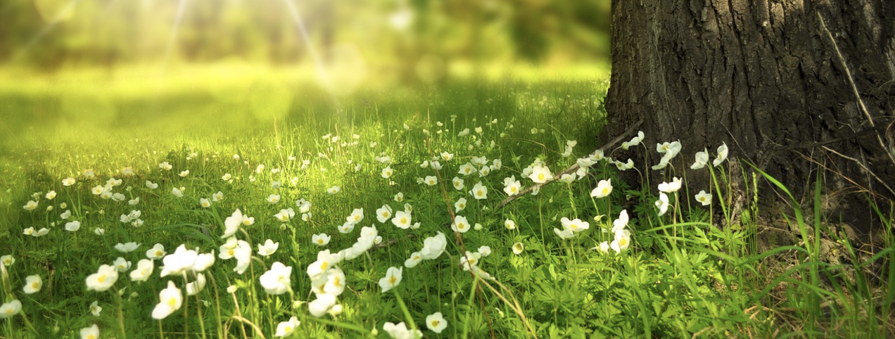 스크린샷 2025-01-03 오후 12.14.04.png