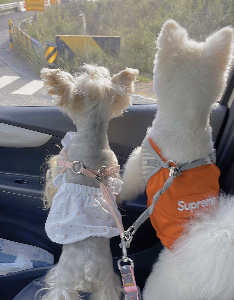 스크린샷 2025-09-06 오전 11.57.33.png