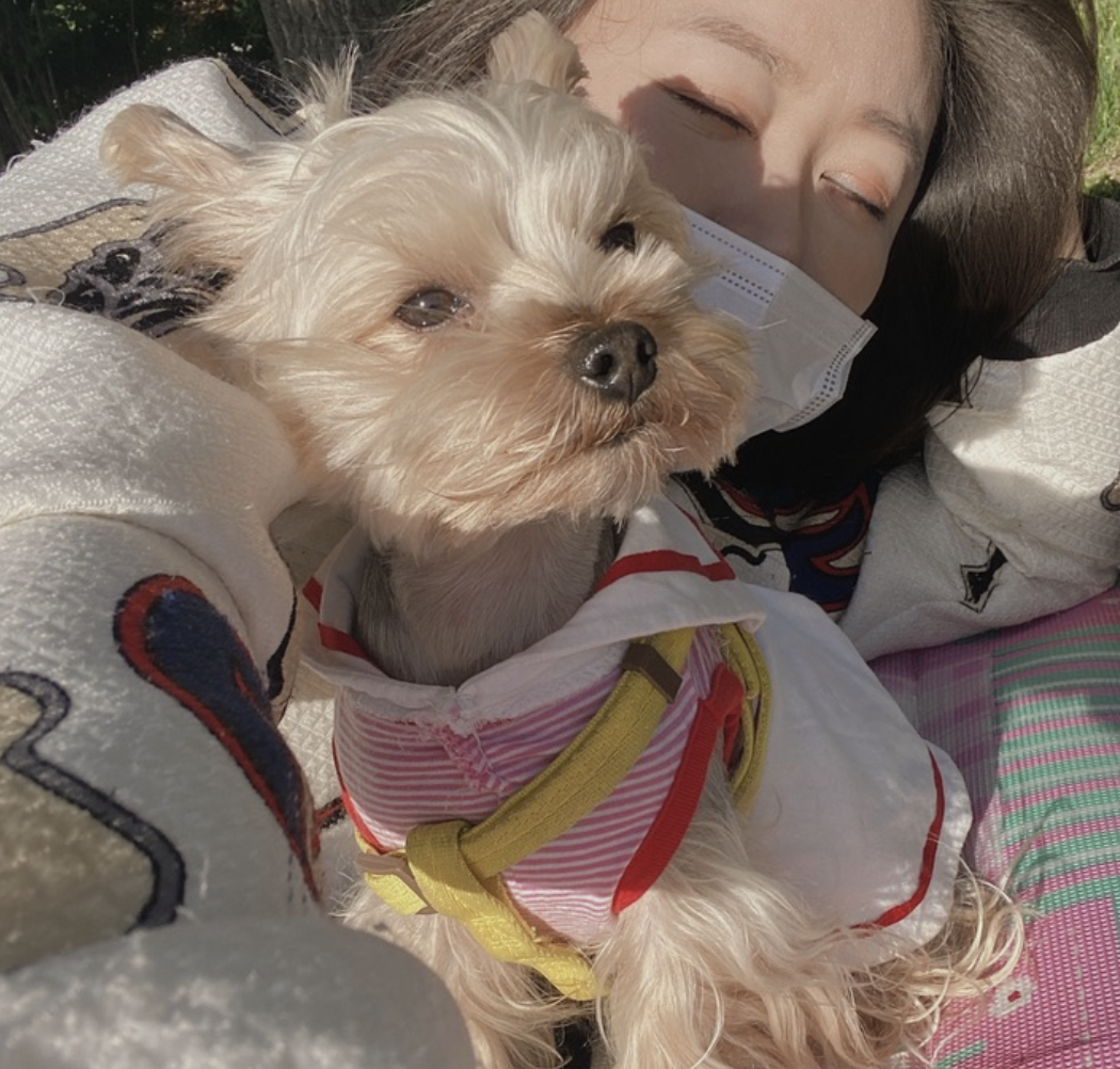 스크린샷 2025-09-06 오전 11.53.27.png