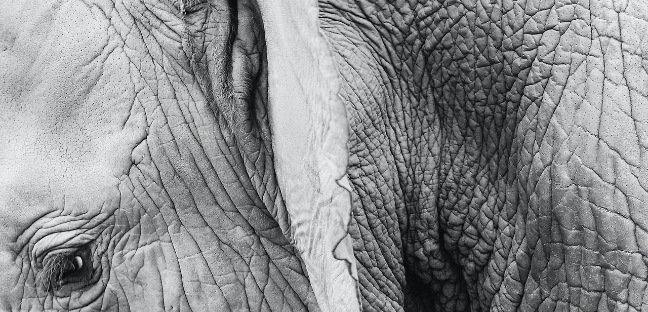 스크린샷 2023-01-18 오전 9.56.53.png