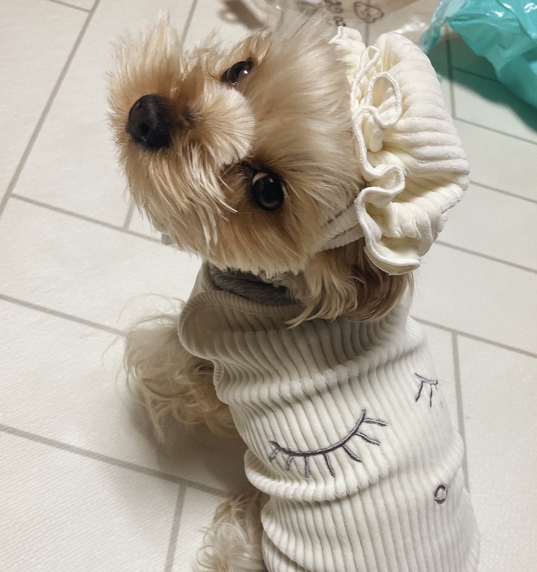 스크린샷 2025-09-06 오전 11.56.57.png