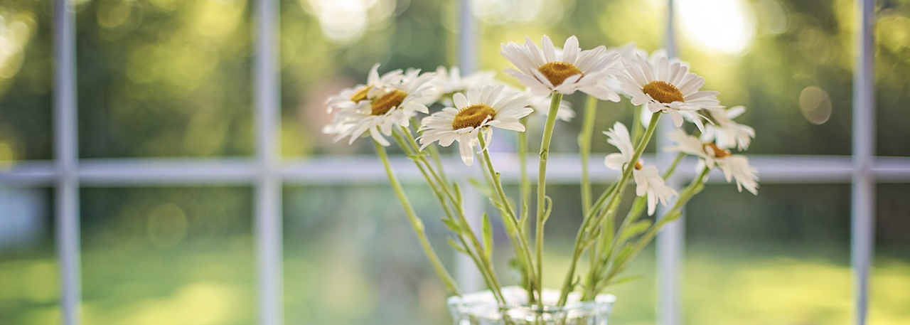 스크린샷 2024-06-09 오전 11.21.33.png