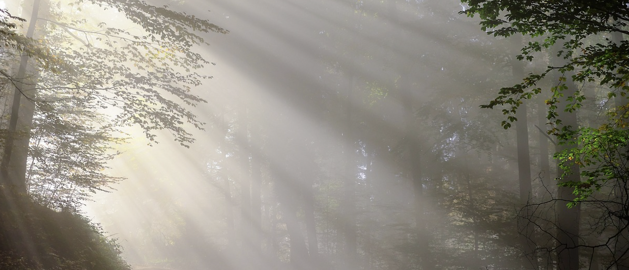 스크린샷 2024-06-09 오전 11.20.03.png