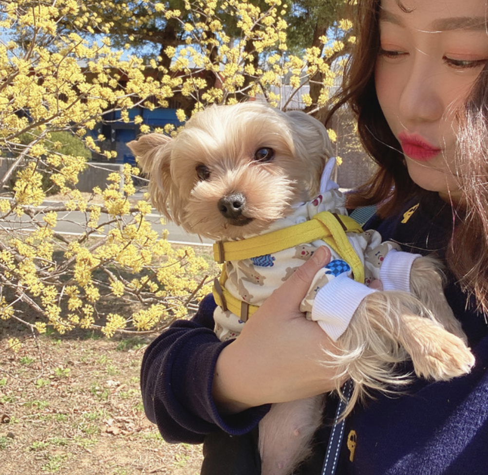 스크린샷 2025-09-06 오전 11.50.51.png