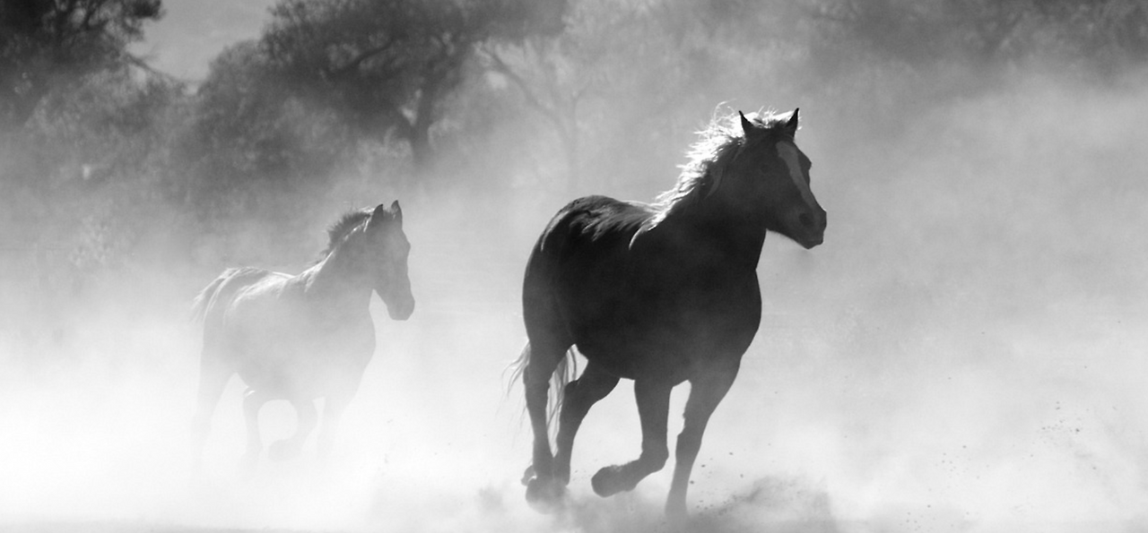 스크린샷 2024-06-09 오전 10.55.40.png