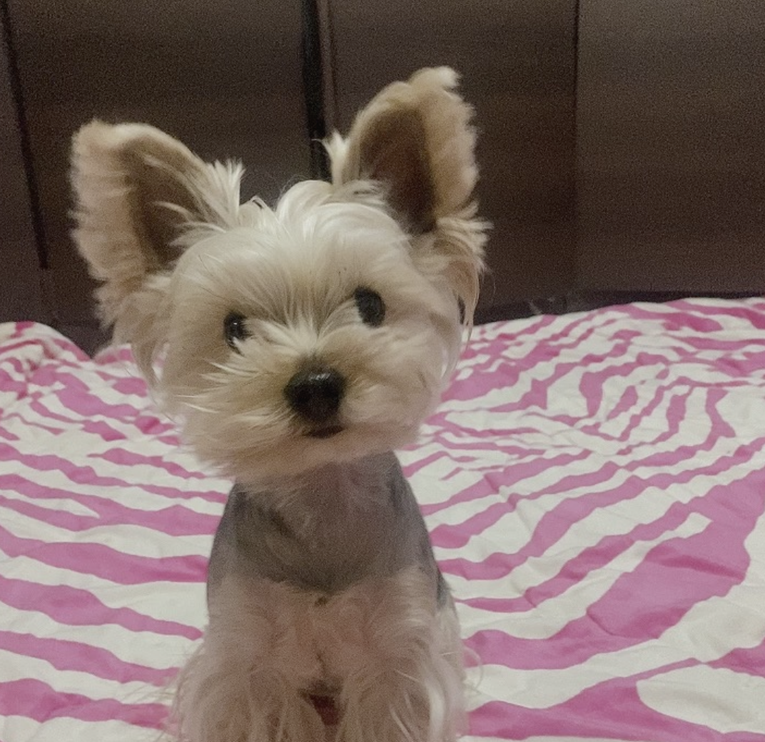 스크린샷 2025-09-06 오전 11.47.37.png