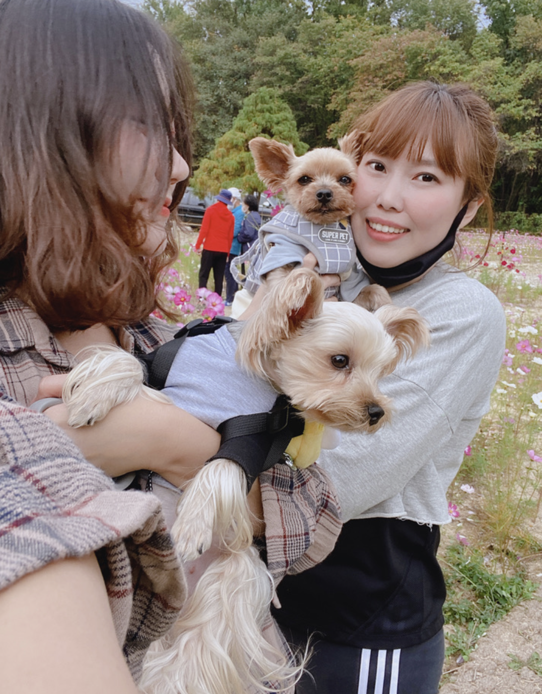 스크린샷 2025-09-06 오전 11.51.17.png