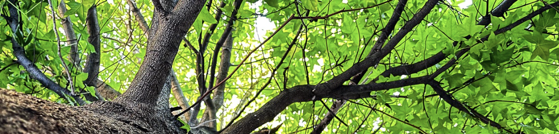 스크린샷 2025-07-21 오후 7.27.40.png