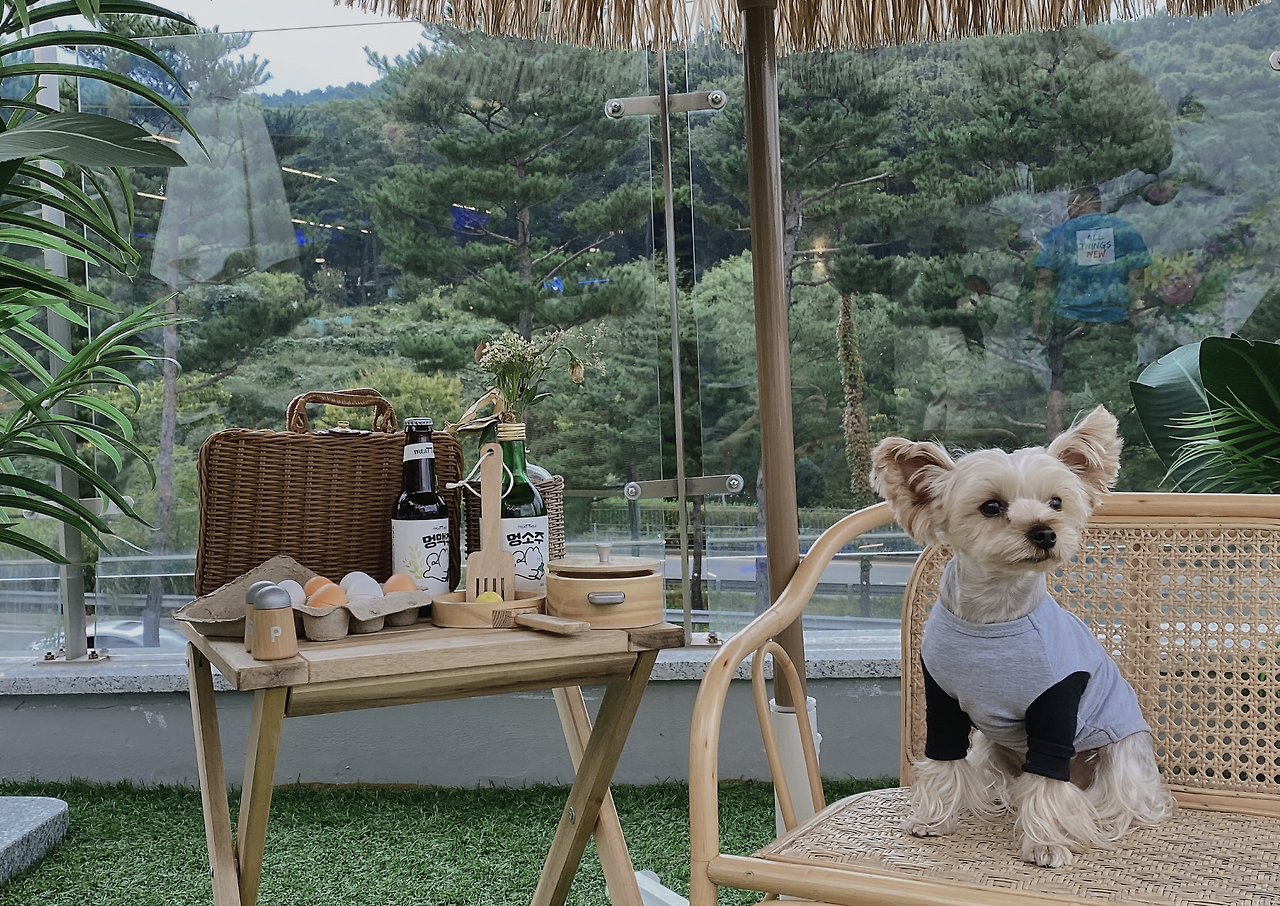 스크린샷 2025-09-06 오전 11.58.31.png