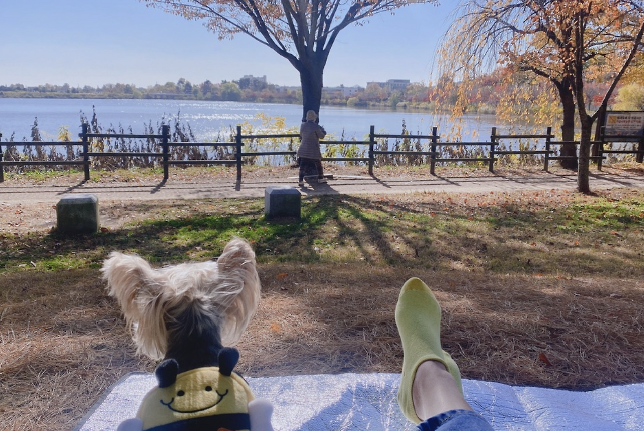 스크린샷 2025-09-06 오전 11.50.24.png