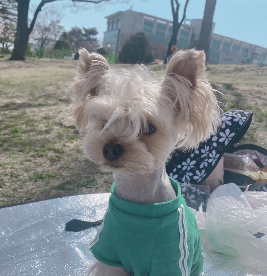 스크린샷 2025-09-06 오전 11.47.50.png