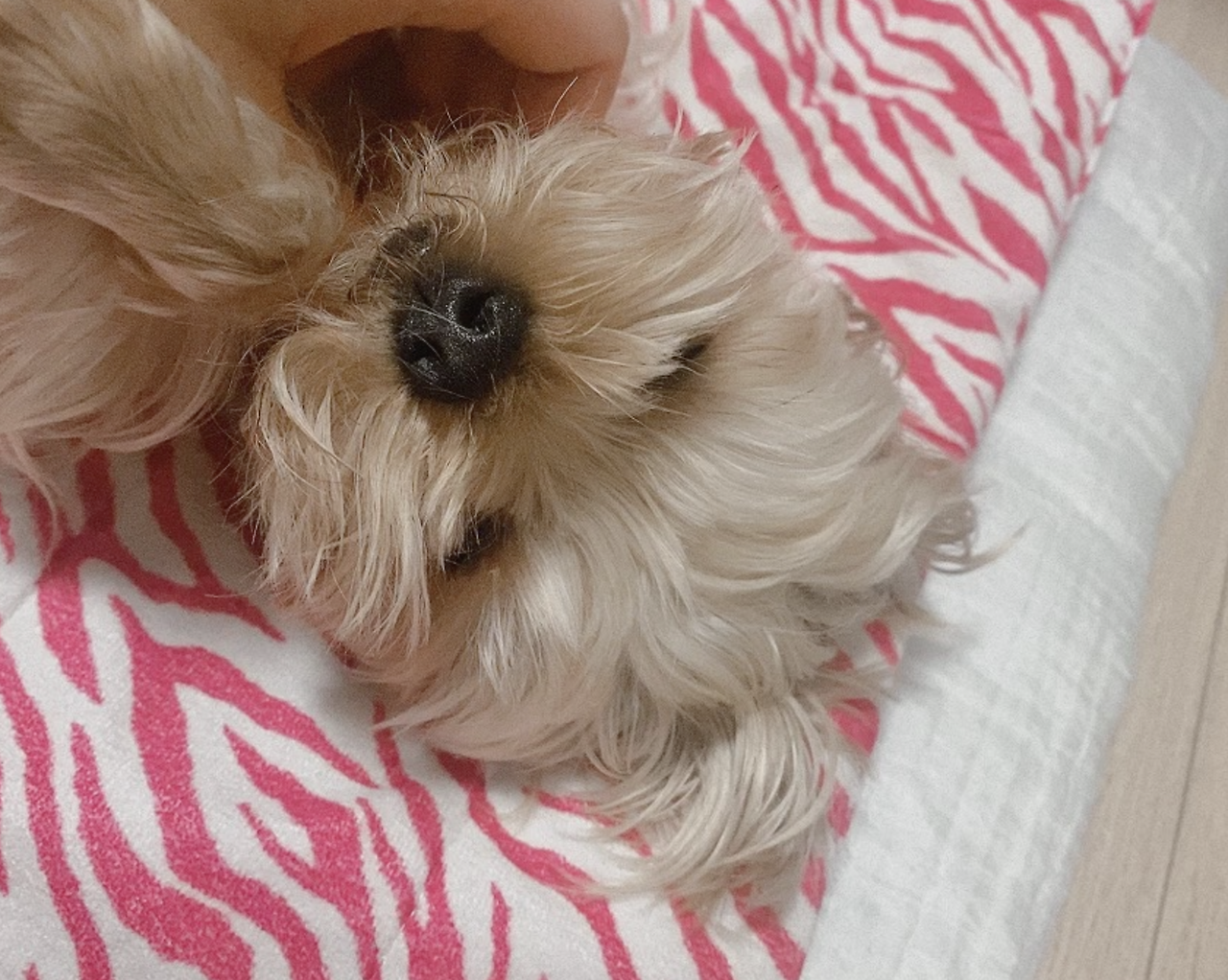 스크린샷 2025-09-06 오전 11.50.35.png