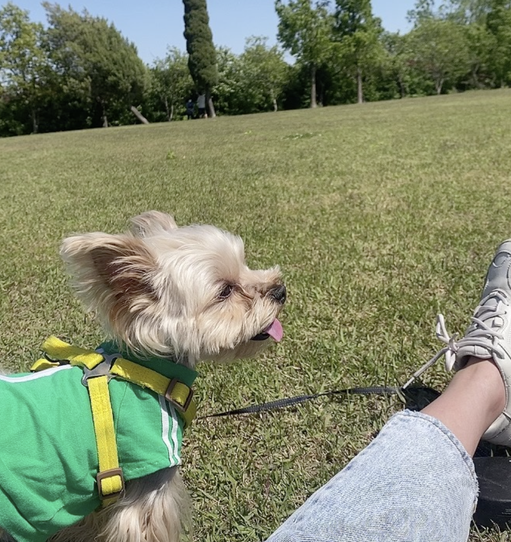 스크린샷 2025-09-06 오전 11.53.09.png