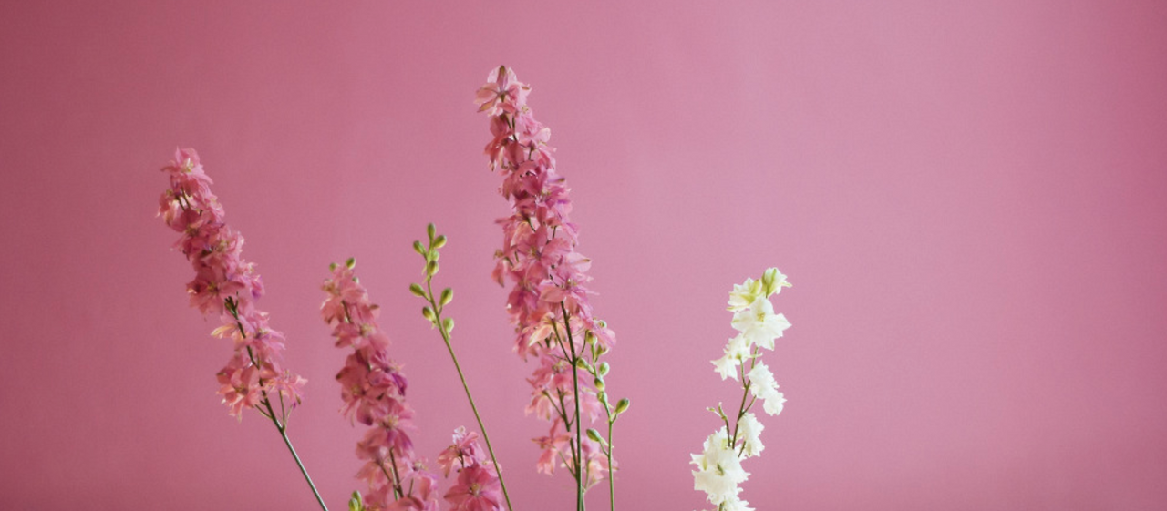 스크린샷 2023-01-02 오후 2.34.27.png