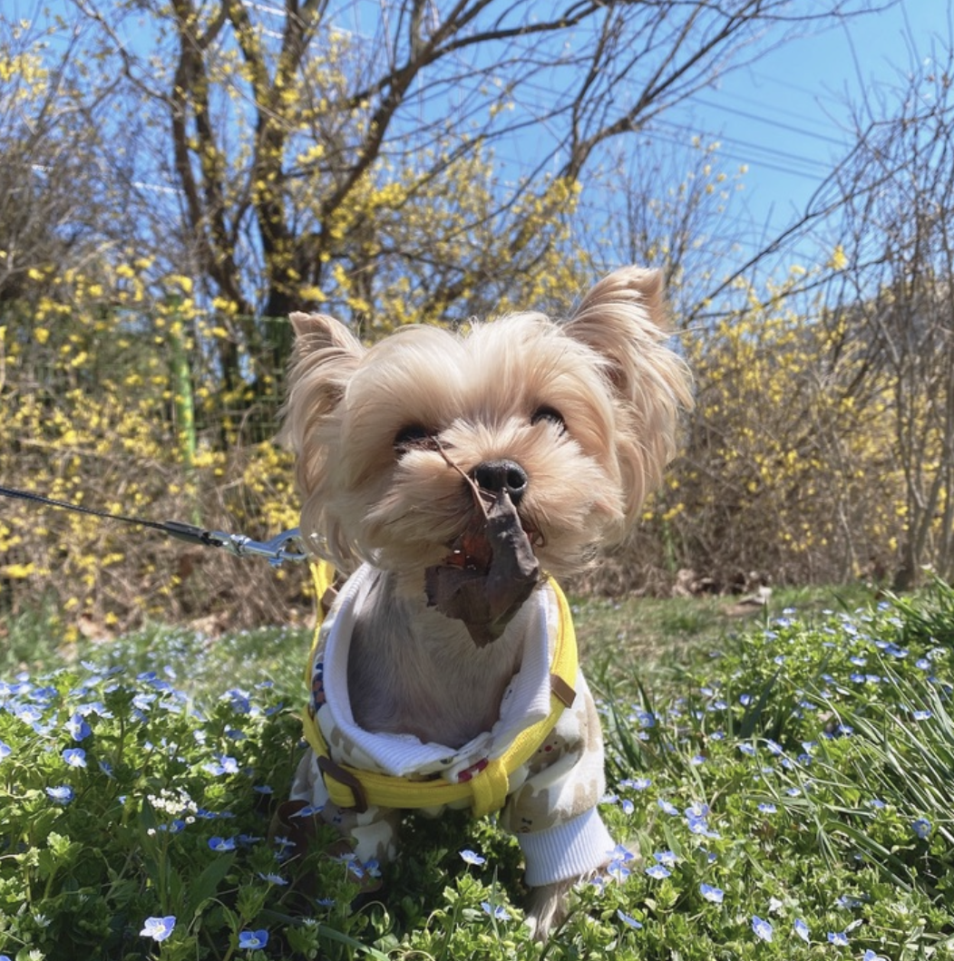 스크린샷 2025-09-06 오전 11.53.46.png