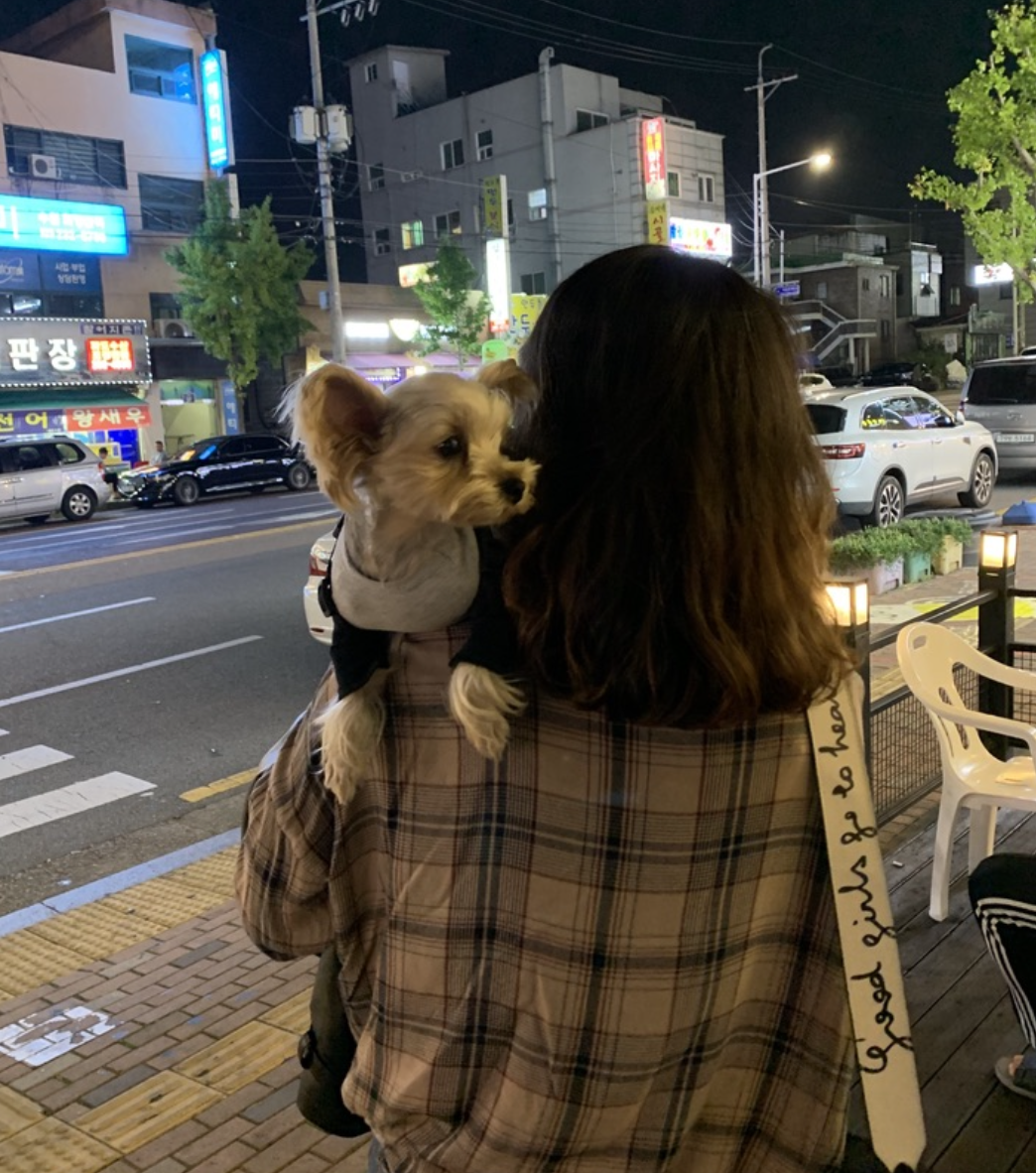 스크린샷 2025-09-06 오전 11.49.27.png