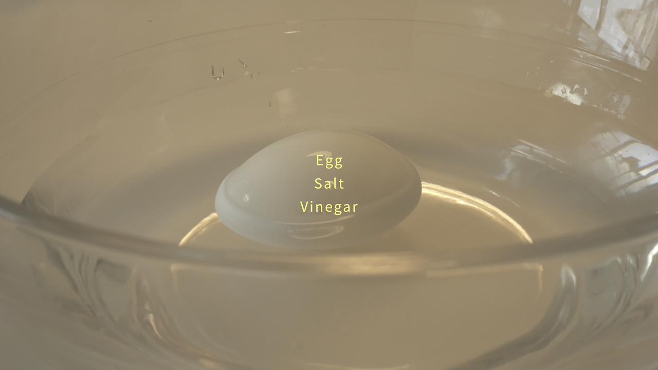 00003Golden Soft-boiled Egg.png