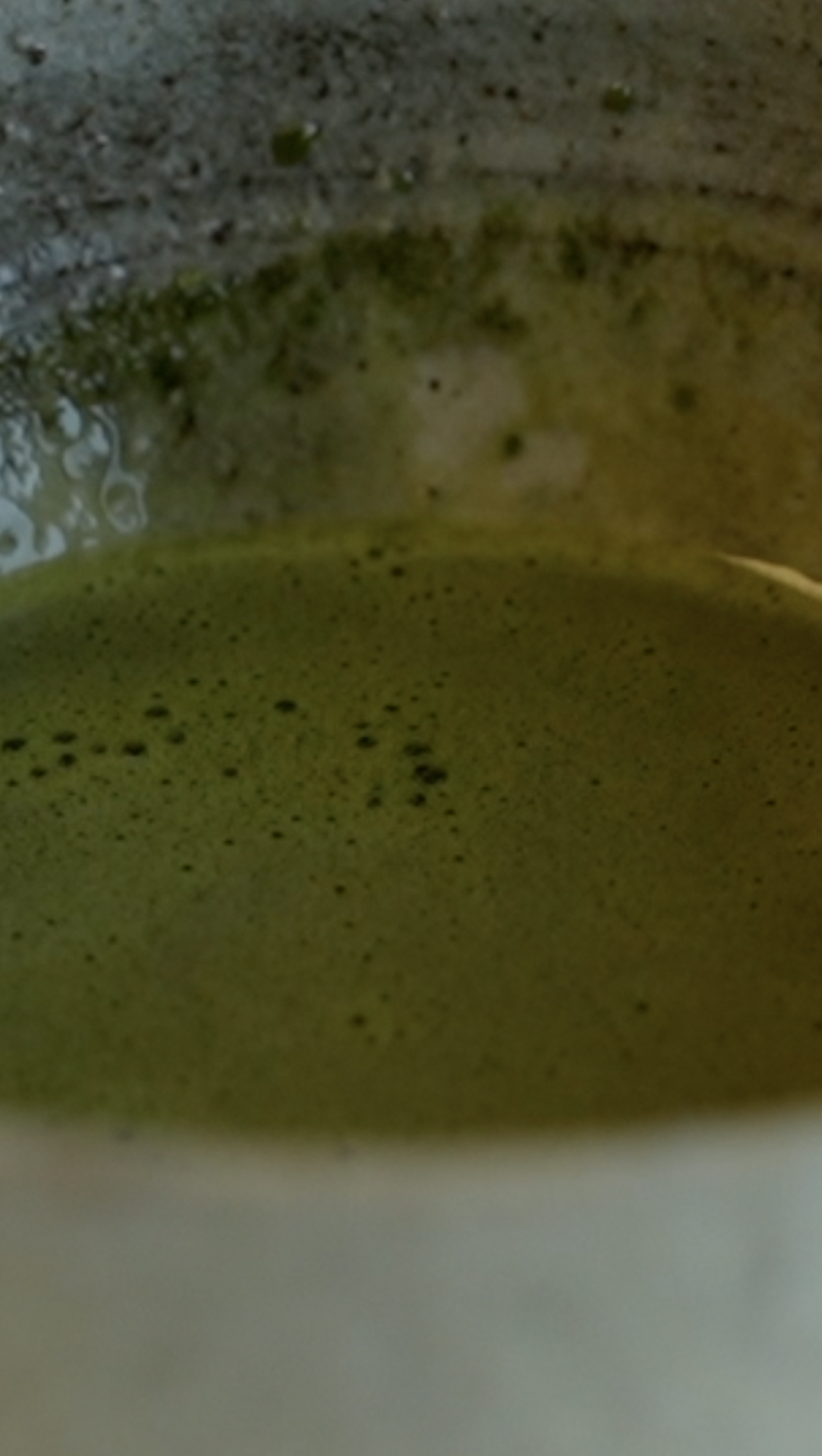 Matcha Dango & Red Bean Ice Cream  4.png