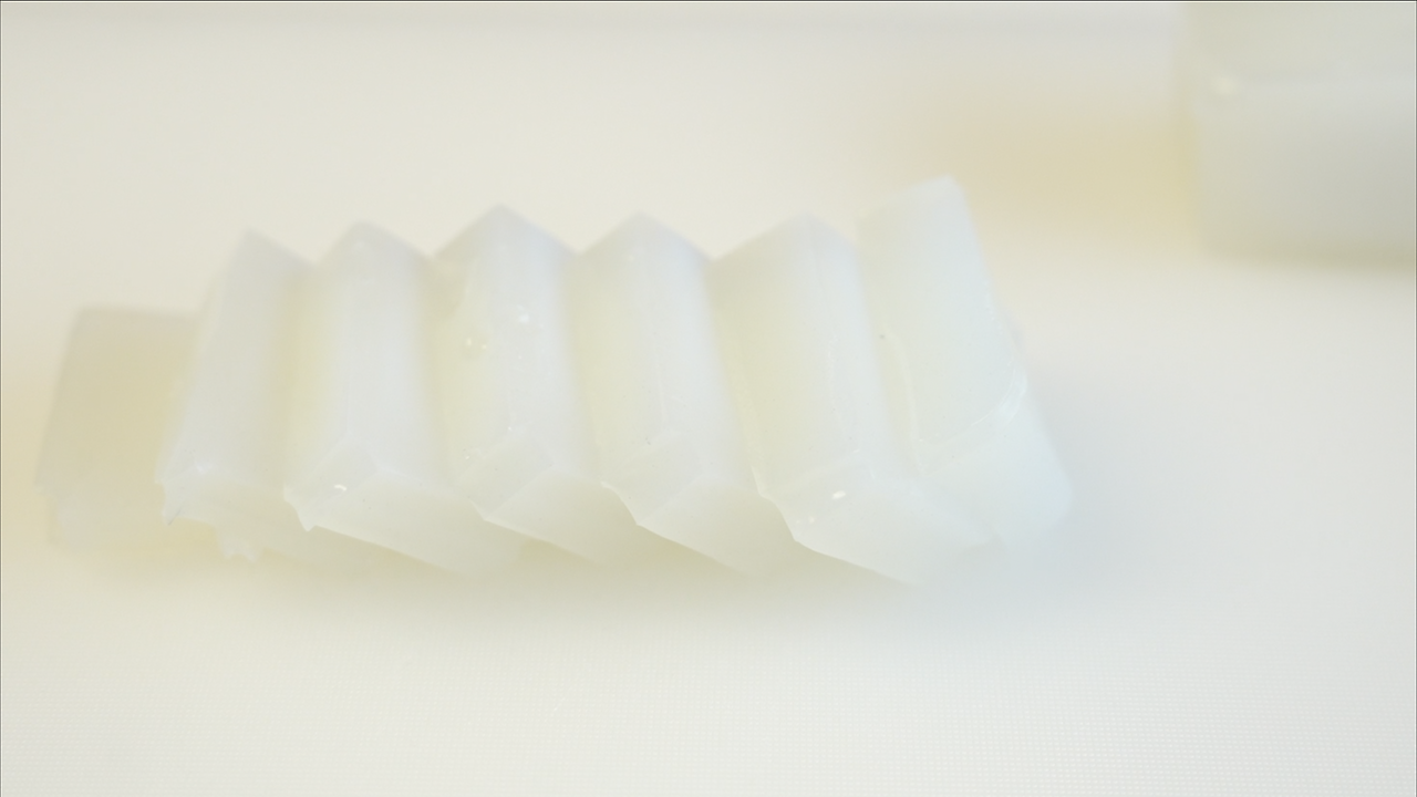 20251003 Garden Sushi 3.png