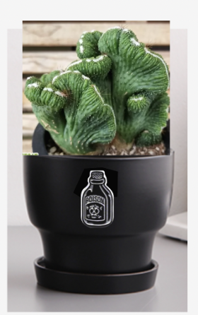 스크린샷 2022-07-06 오후 2.40.40.png