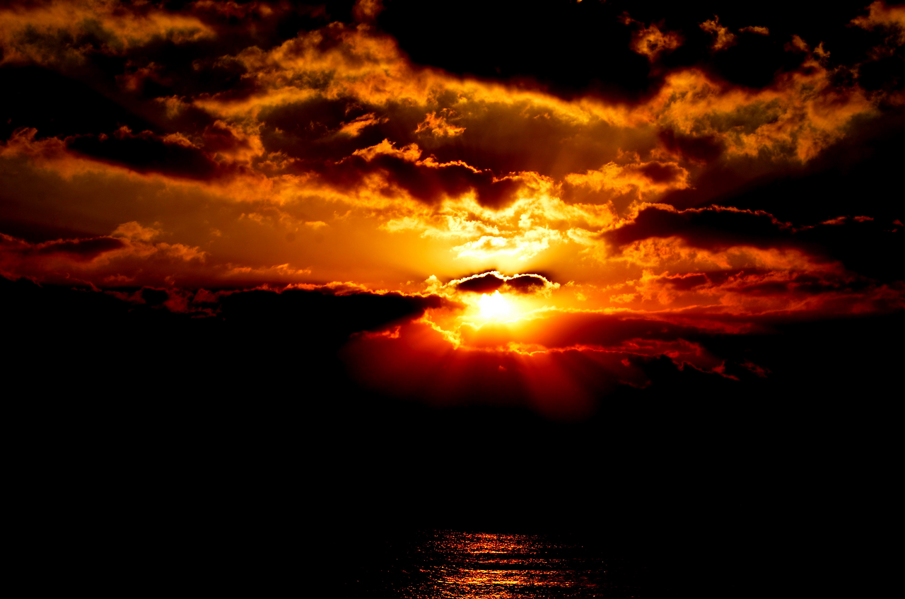 어둠속의 햇빛.png