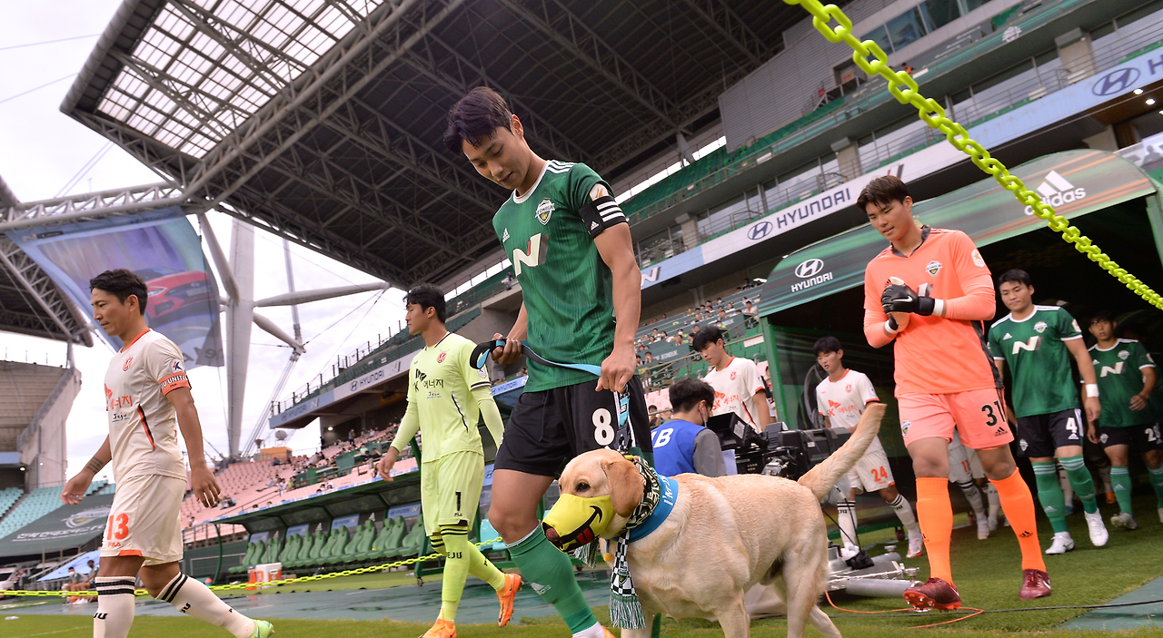 반려견 헌혈1.png