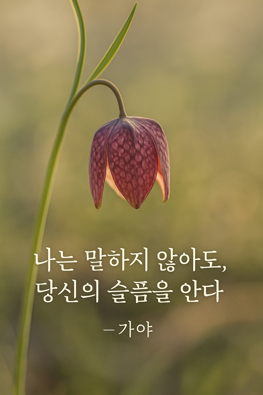 ChatGPT Image 2025년 4월 24일 오전 09_46_56 중국패묘.png