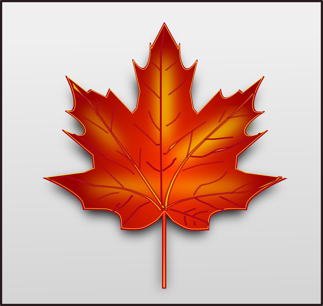 maple-150722_1280.png