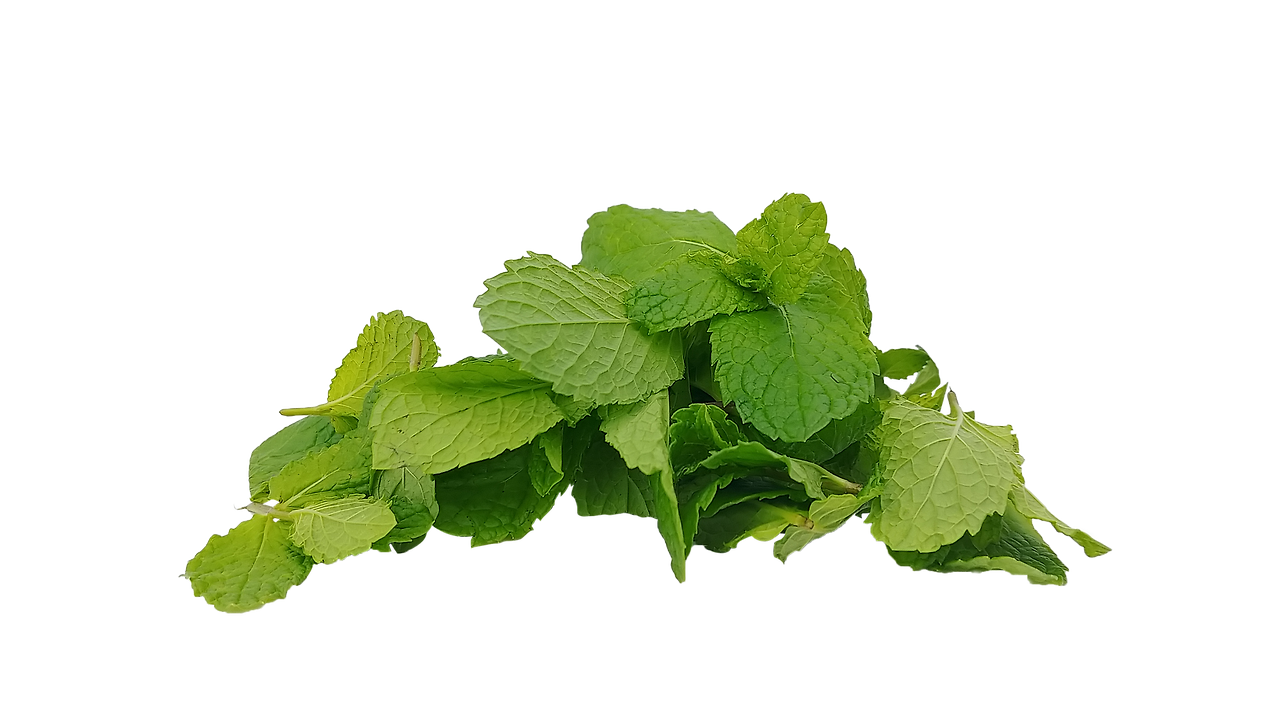 spearmint-4749041_1920.png