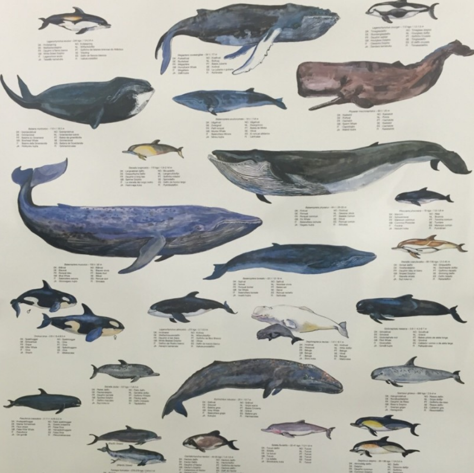 스크린샷 2023-03-08 011812.png