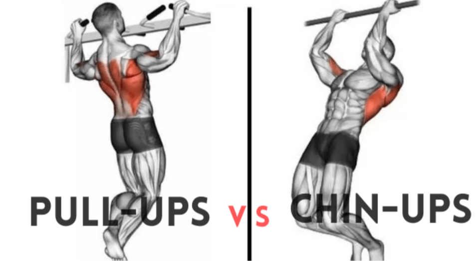 Pullup_Chinup.png