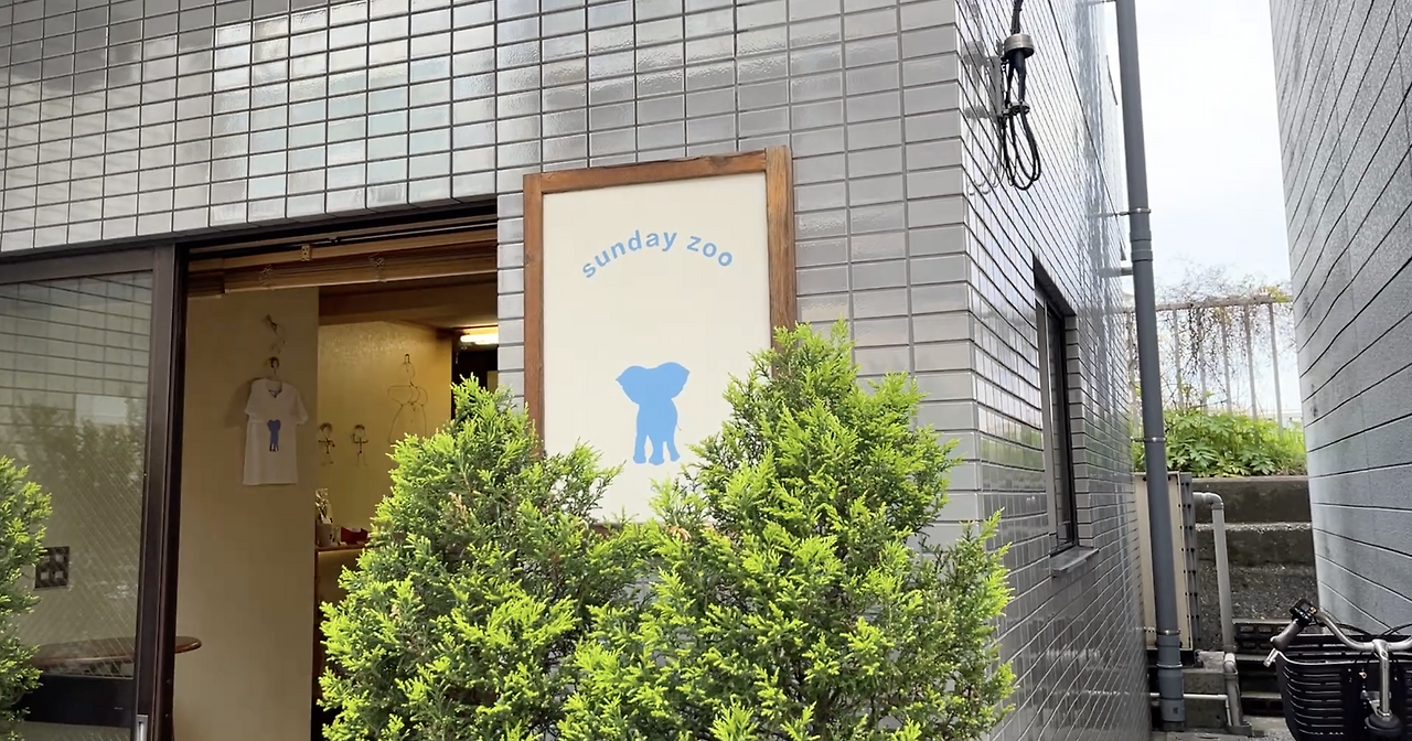 sunday zoo.png