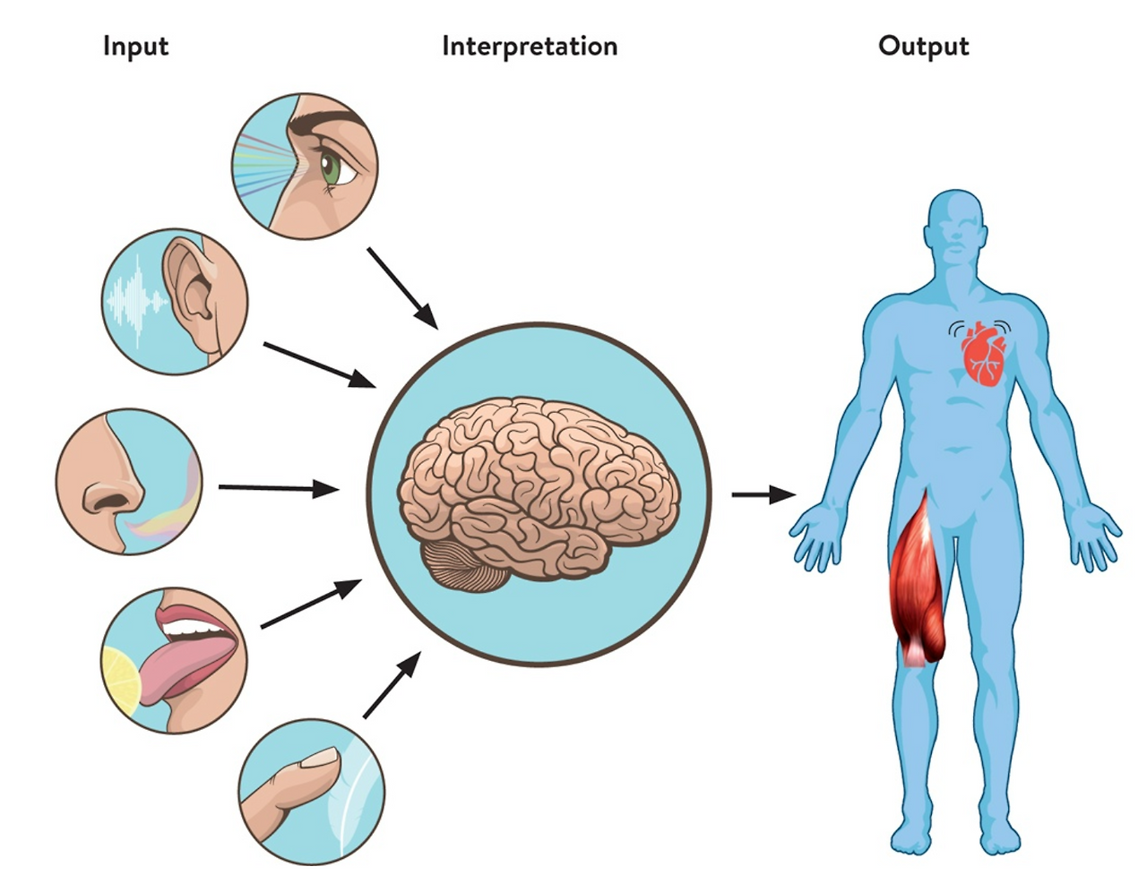 스크린샷 2026-01-09 오전 10.46.57.png
