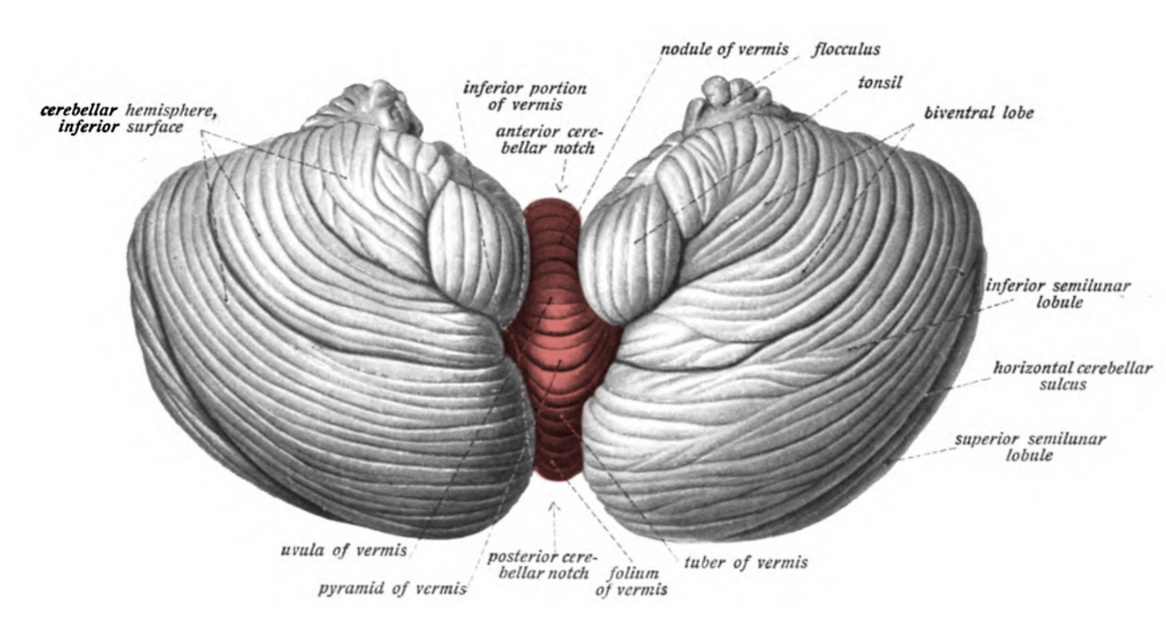 스크린샷 2026-01-13 오후 5.48.58.png
